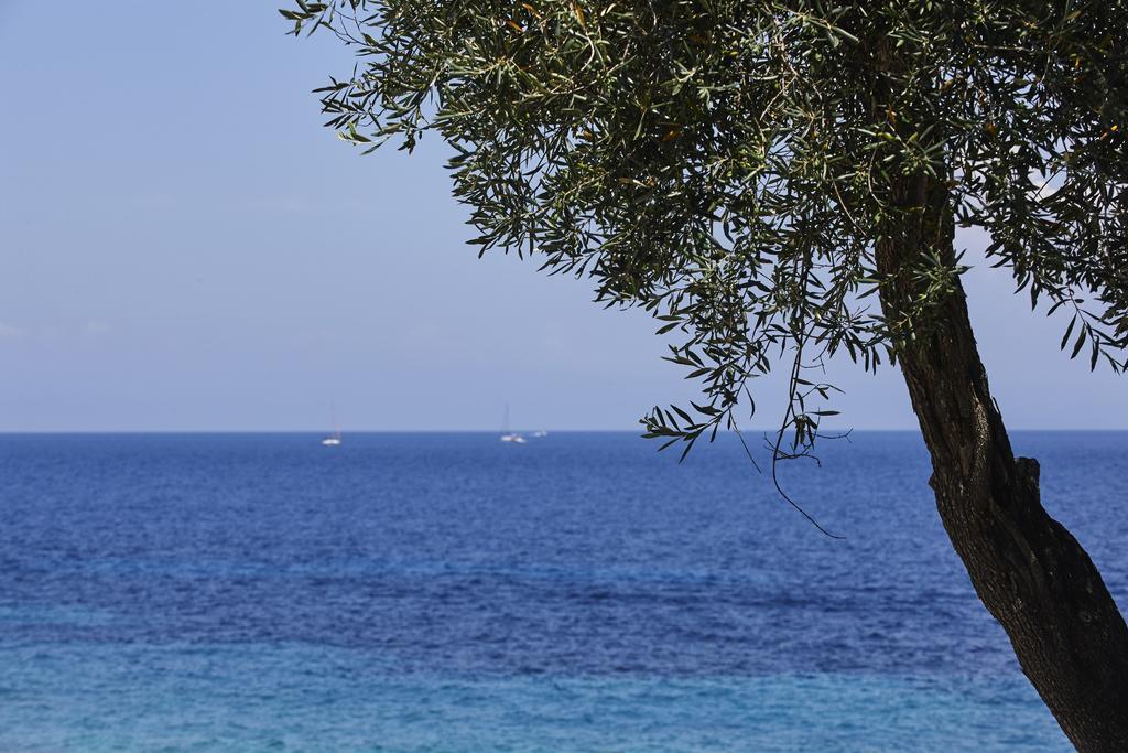 Anassa Mare & Residences Gaios